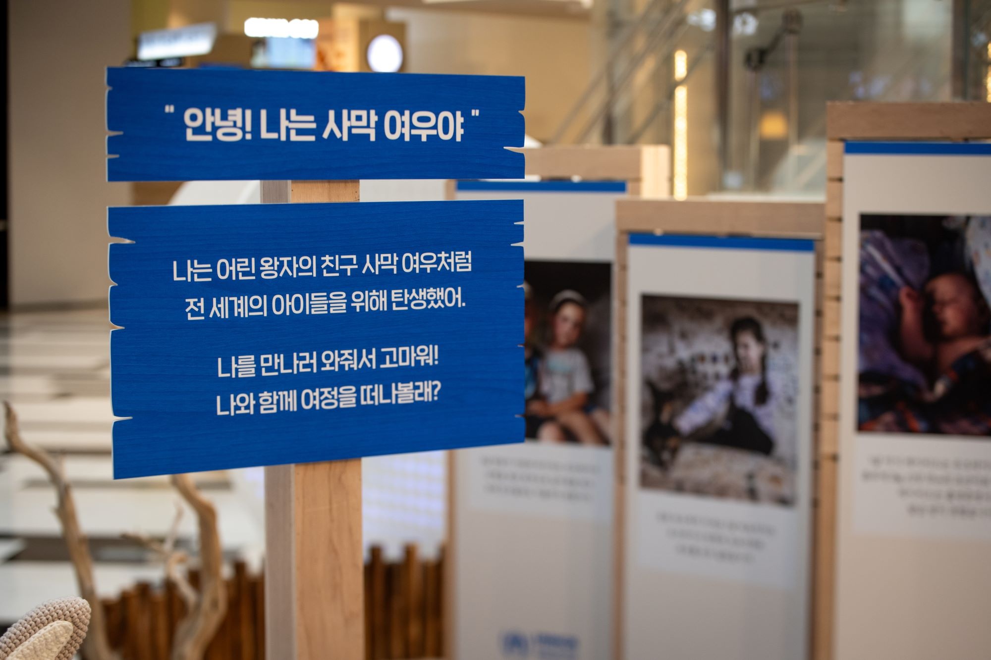 Fennec Fox pop up store