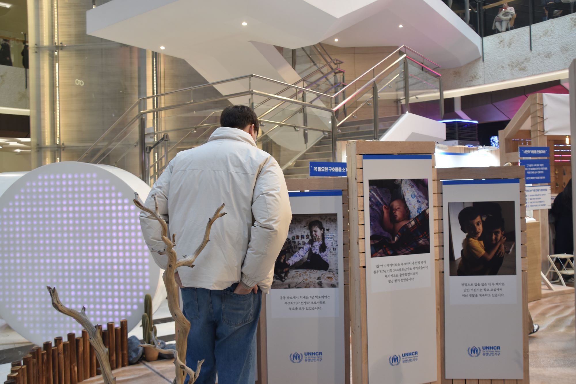 Fennec Fox pop up store