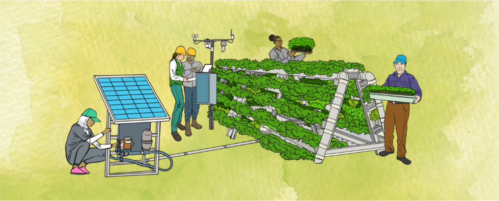 Environment and Climate Action Innovation Fund