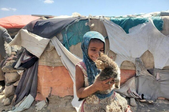 A displaced girl plays with a cat in a site hosting displaced people in Sana’a, Yemen. 