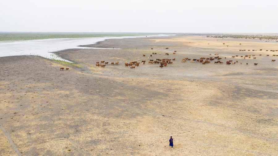 Mauritania. Lake’s dwindling waters threaten farming and fishing communities