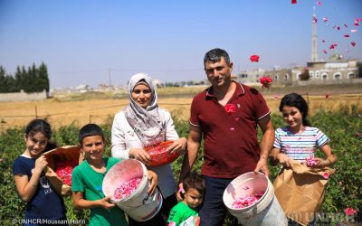 Syrian rose farmer uses skills to graft new life in Lebanon