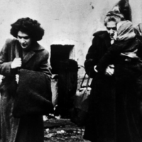 Hungarian refugees in Austria, 1956