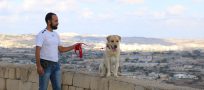 Watch: Dog trainer from Syria rebuilds his life in Malta