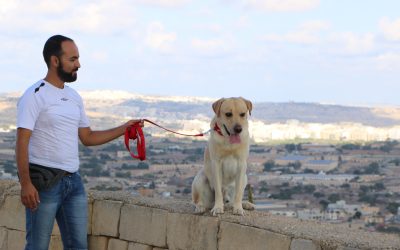 Watch: Dog trainer from Syria rebuilds his life in Malta