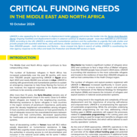 Middle East and North Africa: Critical Funding Needs