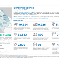 Panama Multi-country Office: Border Response