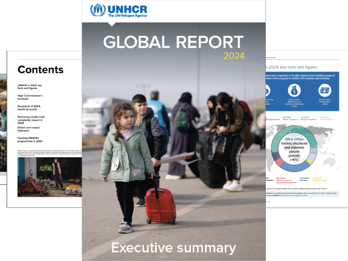 Global Report 2024 snapshot