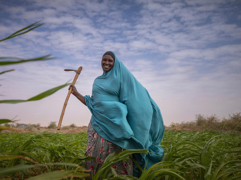 Ethiopia. Ikea is supporting refugees and host community on livestock and farming interventions in Buramino and Hilaweyn camps