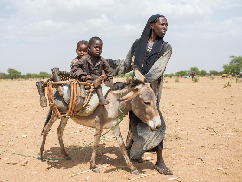 A woman walking beside a donkey, on which two children are sitting