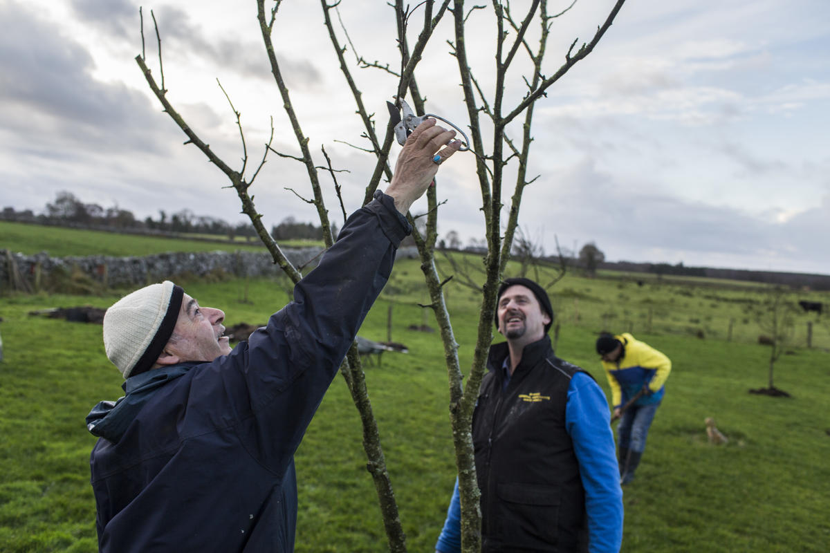Ireland. An Irish social farming initiative giving Syrian refugee farmers an opportunity to work again