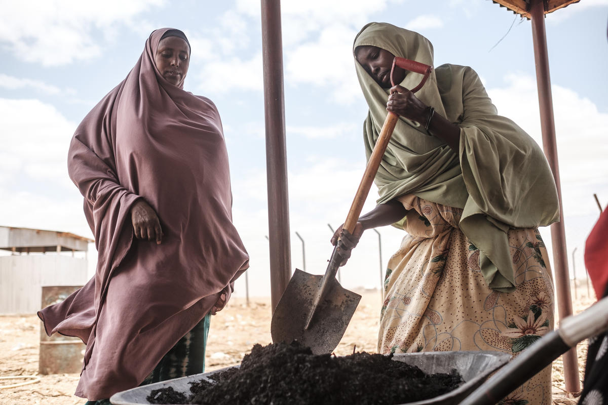 Ethiopia. Pesky weed provides energy and income for Somali refugees and hosts