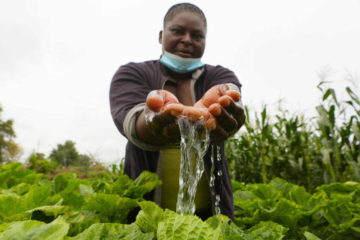 Zimbabwe. Improving condition in in Tongogara refugee camp