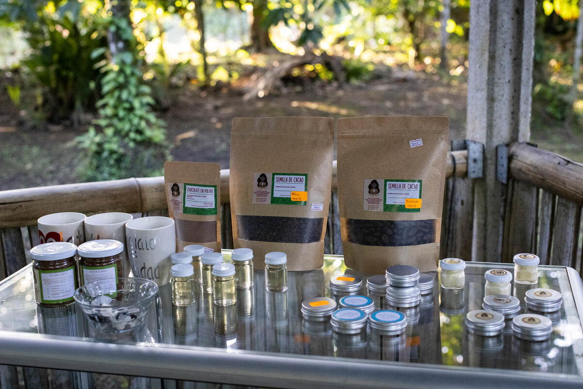 Members of Cacaotica hope to place their products in hotels throughout Costa Rica.