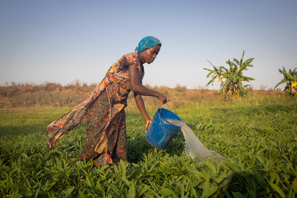 Mozambique. Refugee woman waters her field