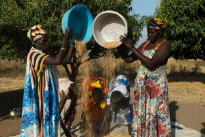 Uganda. South Sudan livelihoods