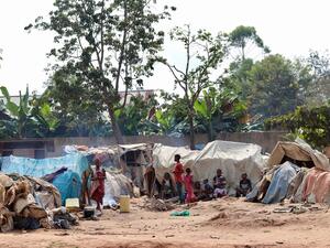 Democratic Republic of Congo. Mbuti IDPs (indigenous community)