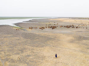 Mauritania. Lake's dwindling waters threaten farming and fishing communities
