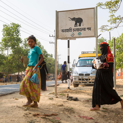 Bangladesh. Elephant crossing sign