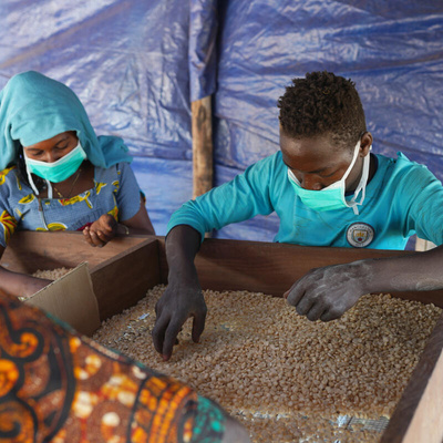 Refugee and host community farmers sort through maize at Makpandu refugee camp in South Sudan, January 2021.