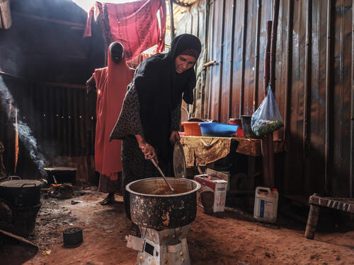Ethiopia. Pesky weed provides energy and income for Somali refugees and hosts
