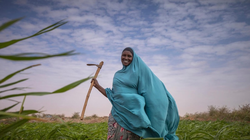 A Somalian woman stands in a field, her blue clothes billowing in the wind.