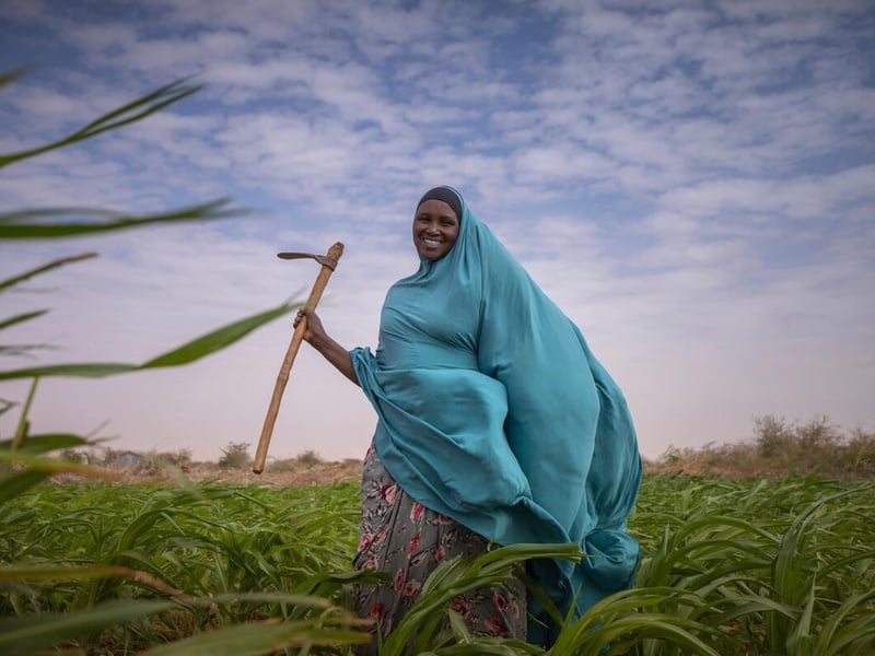 A Somalian woman stands in a field, her blue clothes billowing in the wind.