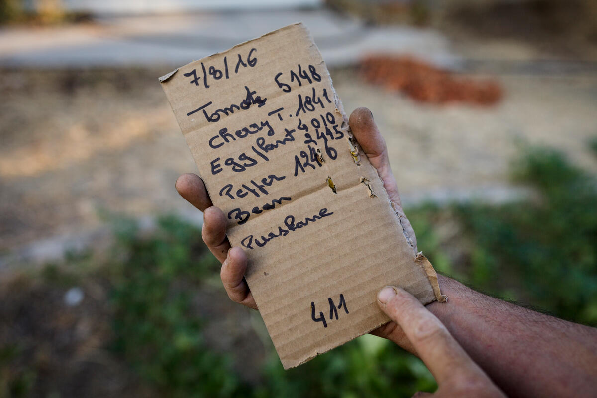 Greece. Afghan refugees 'give back' to needy Greek families