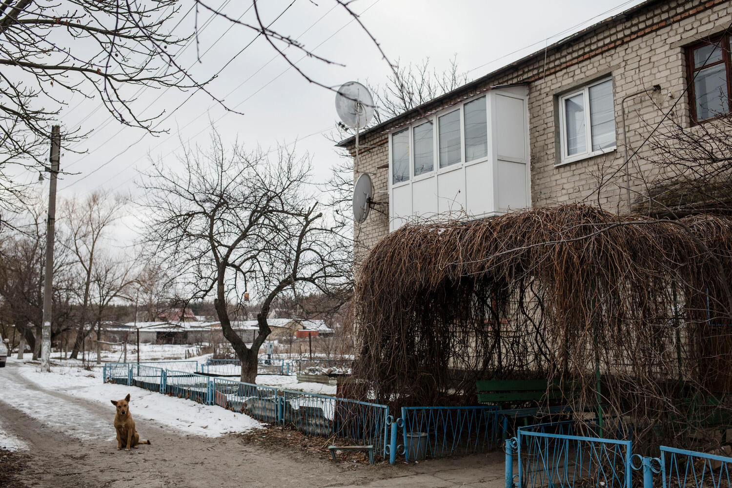 Ukraine. The elderly couple who won't leave the war zone