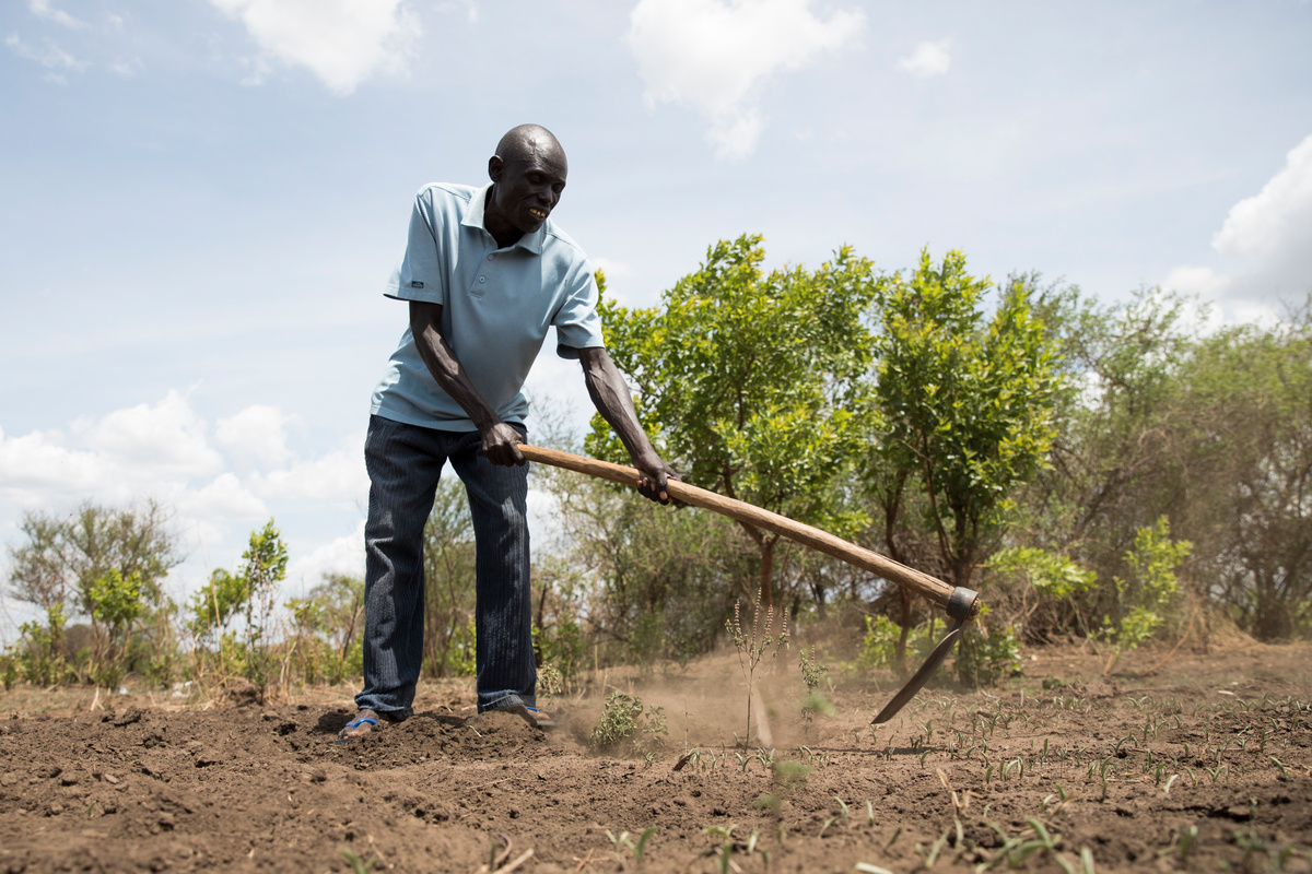 Uganda. Ugandan Yahaya Onduga, Head of the Local Committee (LC) at Bidibidi settlement