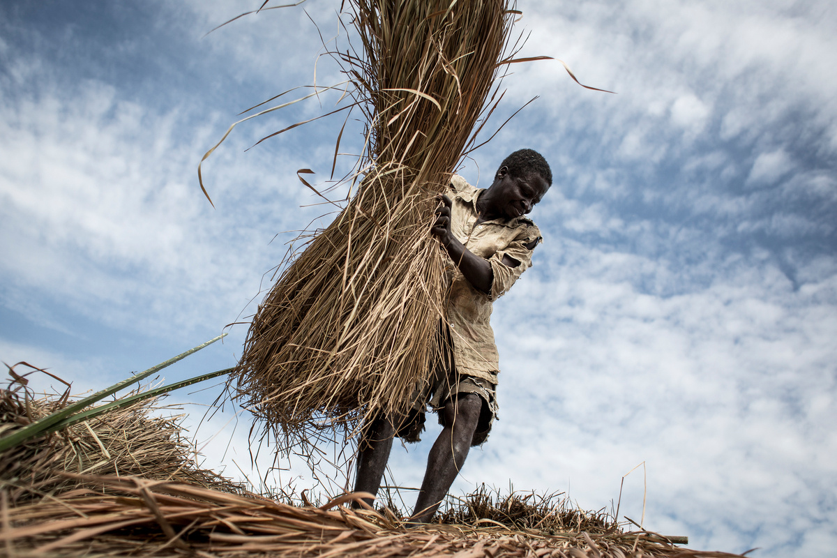 Democratic Republic of the Congo. Continuing violence mars hopes of returning home for Central African refugees
