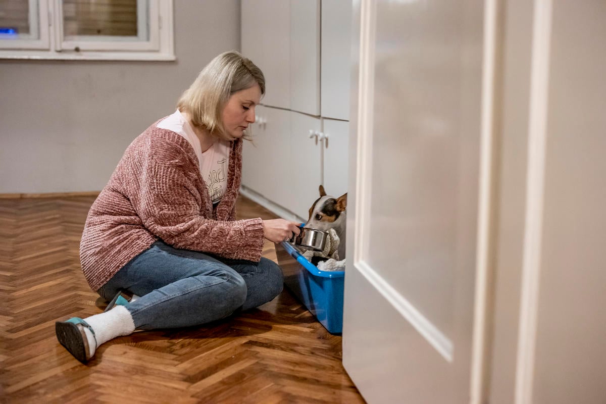 Serbia. Syrian Refugee Finding Love and Employment