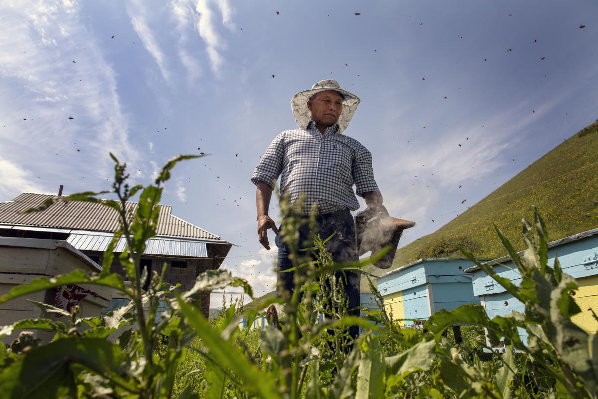 Kyrgyzstan. Saparov Abdusamat, 54, was stateless until recently.  After receiving his identity papers he can now work as a beekeeper and produce honey