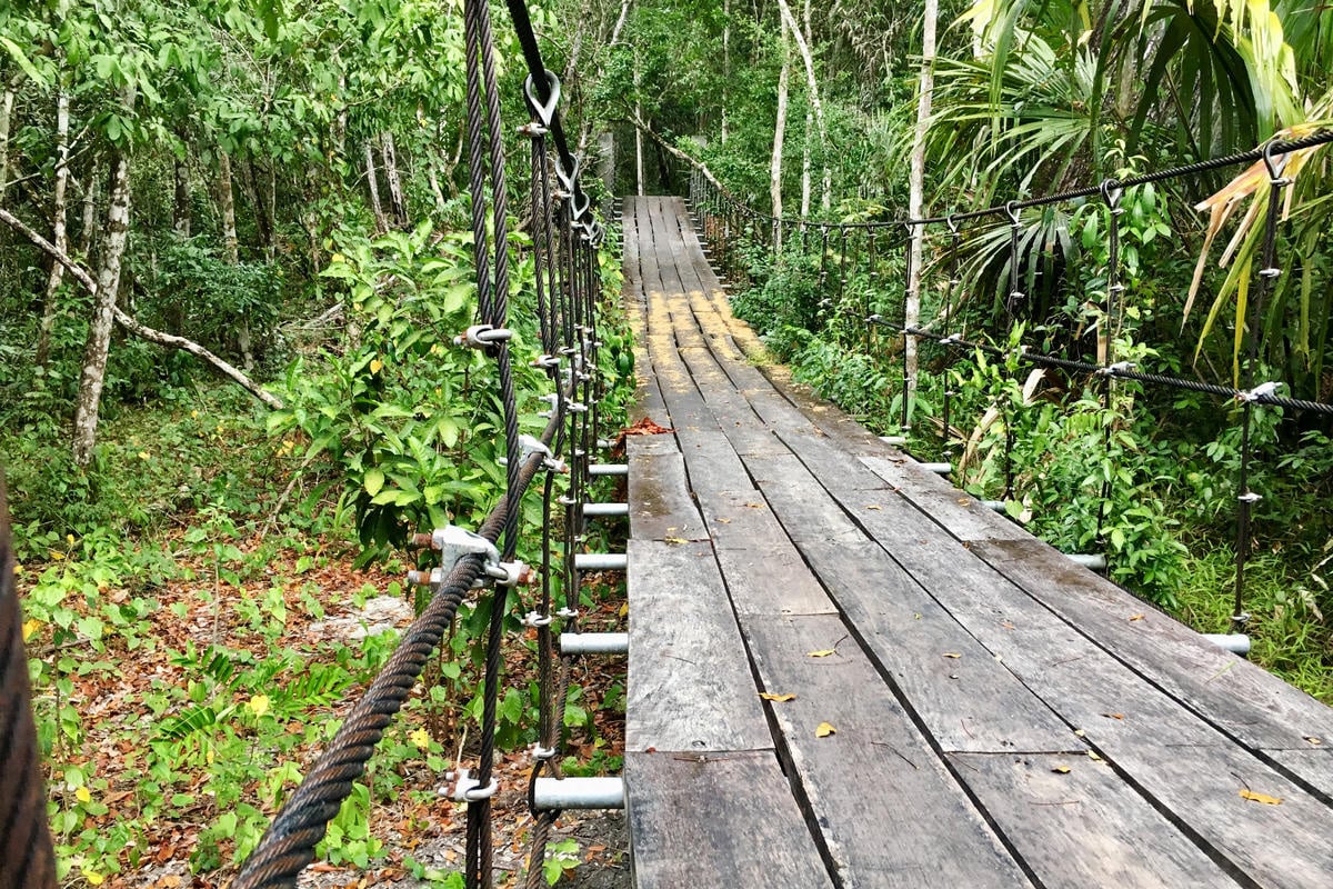 Guatemala. Refugees and asylum seekers care for Guatemala's jungle biodiversity