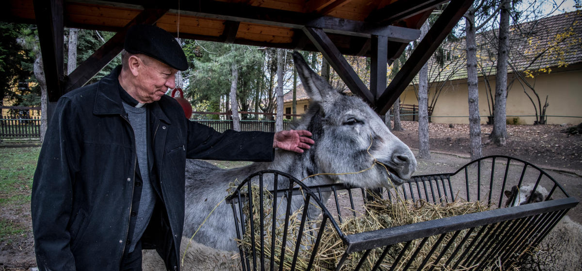 Hungary. Bishops dare to defend refugees in border-conscious Hungary