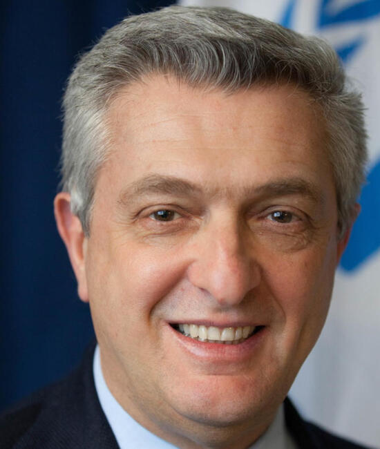 Official portrait of the High Commissioner 