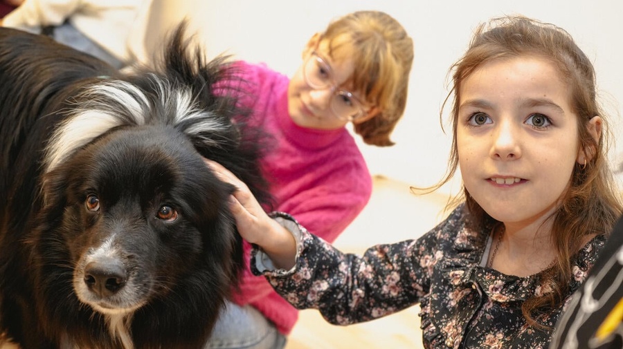 Maria (a la derecha derecha) y Yuliya, refugiadas ucranianas, asisten a una sesión de terapia canina en noviembre en el centro comunitario Budapest Helps!, en Hungría.