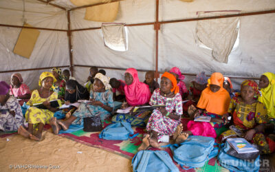 Denmark funds emergency response for the recent displacement crisis in Diffa, Niger