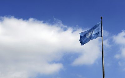 FN-samarbetet gör även Sverige bättre