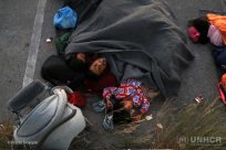UNHCR: Relokaliseringer fra Hellas haster mer enn noen sinne