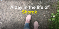 A Day in the Life of Shorok in Estonia