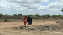 Nødsituation på Afrikas Horn: Én million mennesker er fordrevet af tørke i Somalia