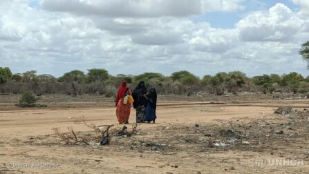 Somalia. Kvinder bærer vand i ørkenen i Dhobley under tørken