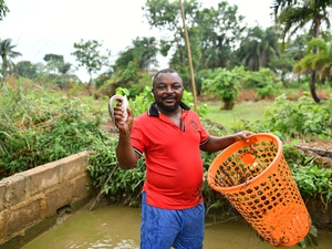 Cameroonian refugee Edmund sorts fingerlings on his fish farm in Adagom community, Cross River State