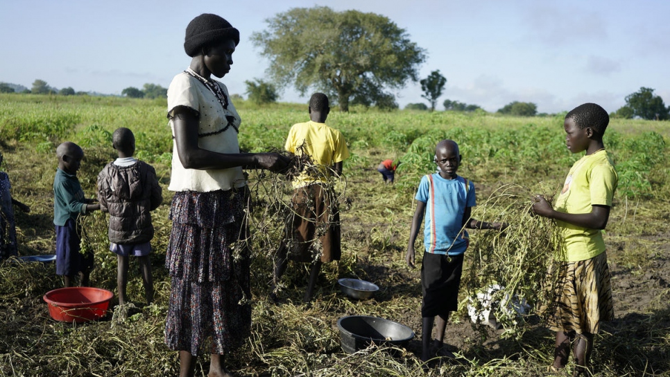 Queen’s kinderen helpen op haar land in Oligi, waar ze rijst verbouwt. © UNHCR/Michele Sibiloni