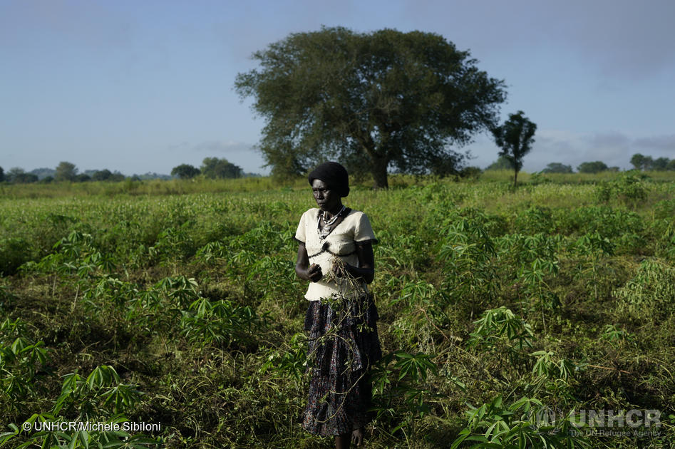 Zuid-Soedanese vluchteling  verbouwt rijst in Oeganda