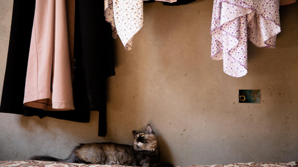 Een van de katten van het gezin ligt op een bed in het appartement, die helpt om het vrij van knaagdieren te houden. © UNHCR/Mohamed Alalem