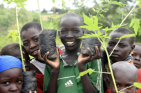 Vluchtelingen in Kameroen bouwen mee aan de ‘Great Green Wall’ om verwoestijning tegen te gaan