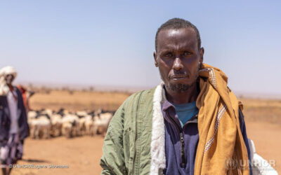 Recorddroogte in Ethiopië: families worstelen om te overleven