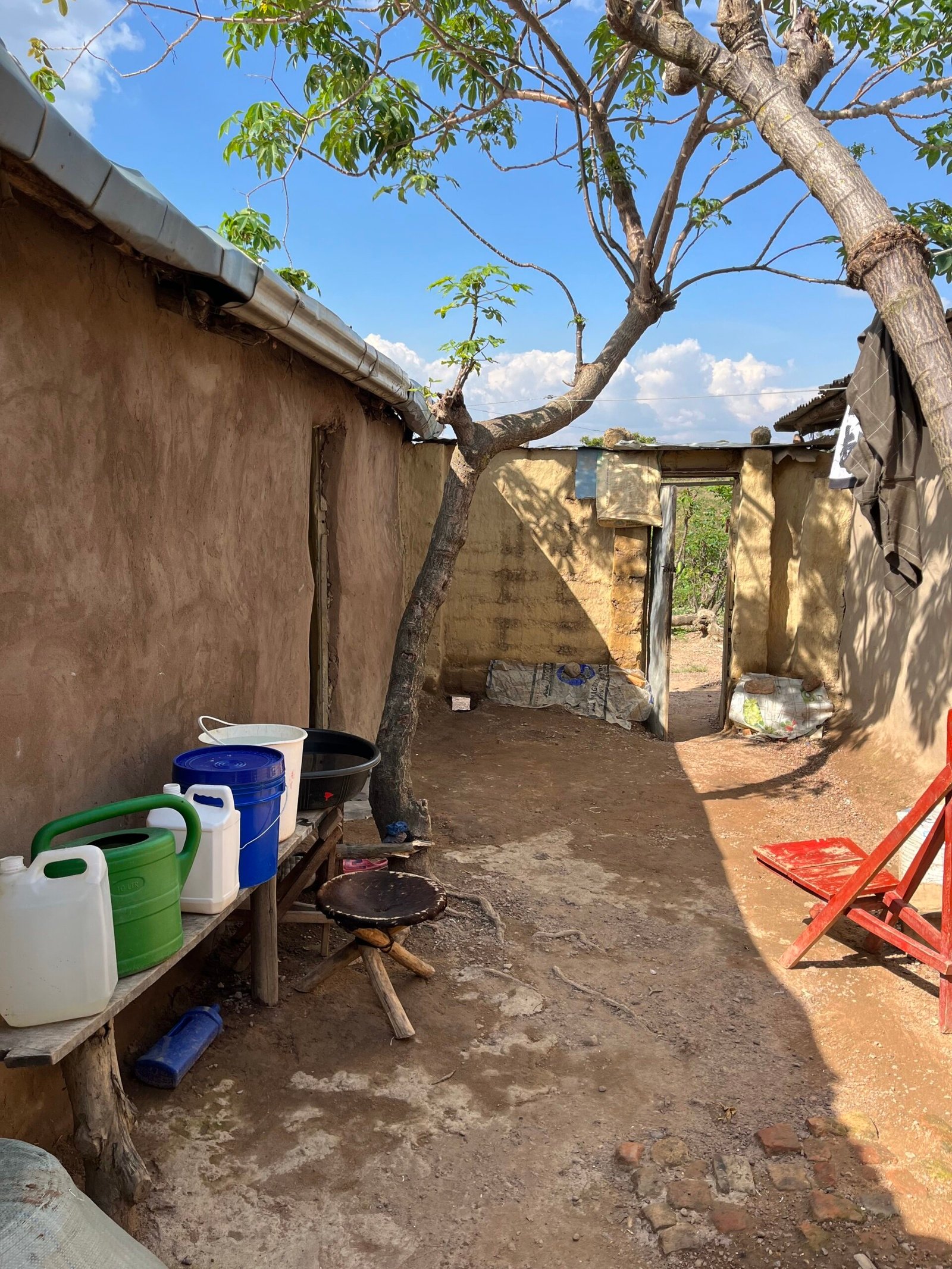 A tree with a few buckets and a bucket on a bench